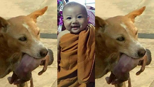 Manusia yang Berhasil Hidup karena Diselamatkan oleh Binatang Buas